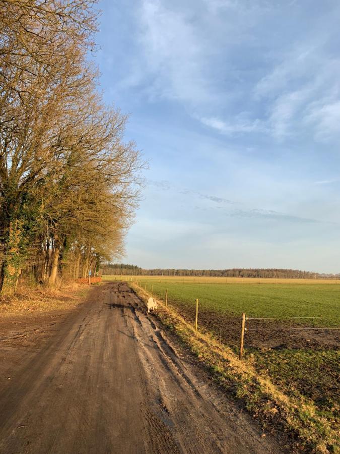 'T Holten Huus - Puur Genieten In Het Bos. Norg Εξωτερικό φωτογραφία