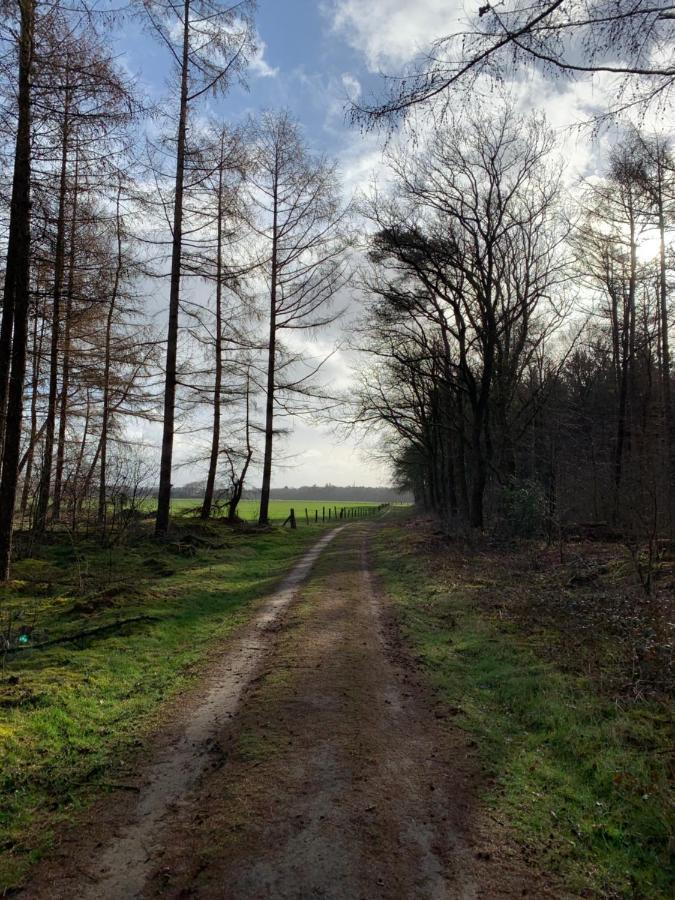 'T Holten Huus - Puur Genieten In Het Bos. Norg Εξωτερικό φωτογραφία