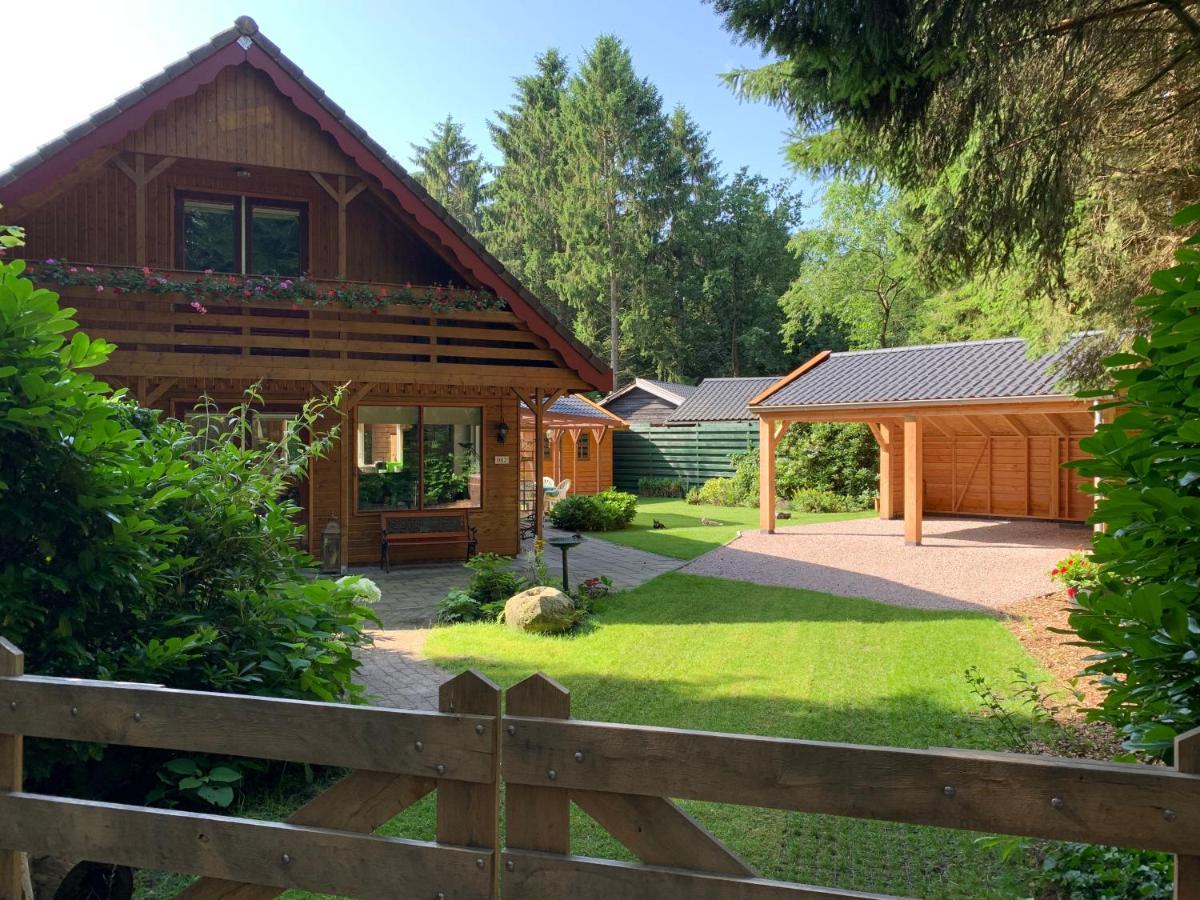 'T Holten Huus - Puur Genieten In Het Bos. Norg Εξωτερικό φωτογραφία