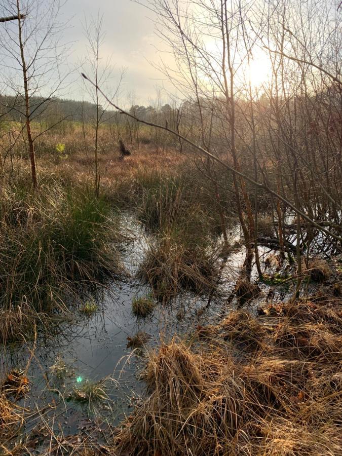 'T Holten Huus - Puur Genieten In Het Bos. Norg Εξωτερικό φωτογραφία